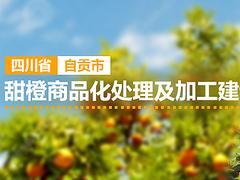 中國(guó)名優(yōu)產(chǎn)品廣告宣傳資訊 生產(chǎn)、價(jià)格與制作全解析